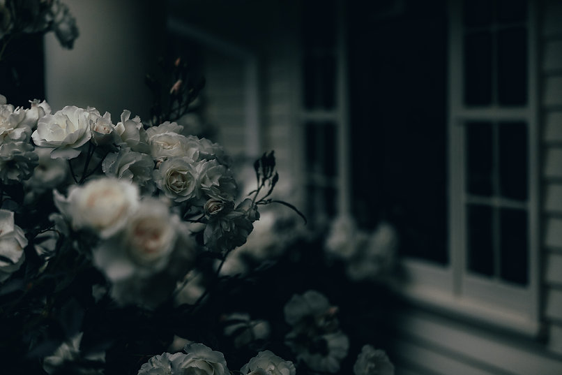 Image by James Coleman
