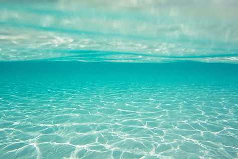 Image by Alessandra Caretto