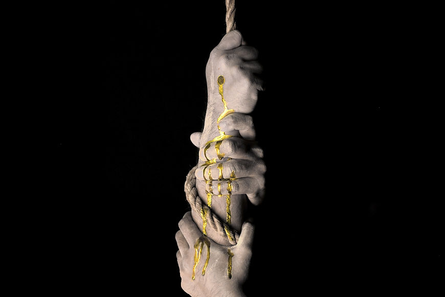 Image by Daniel Curran