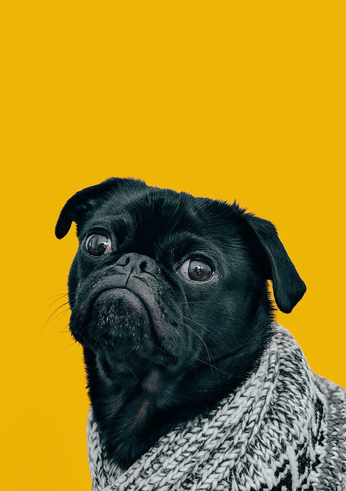 Image by charlesdeluvio