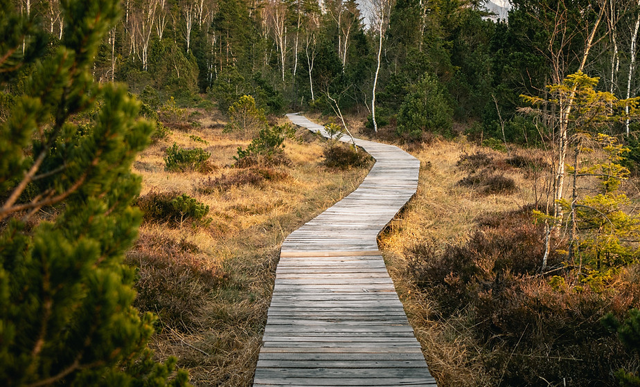 Image by Mario Dobelmann