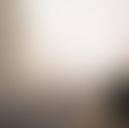 Picture of a wheelie bin