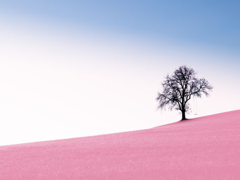 Landscapes of a Spiritual Journey: Compassion, Gratitude, and Joy