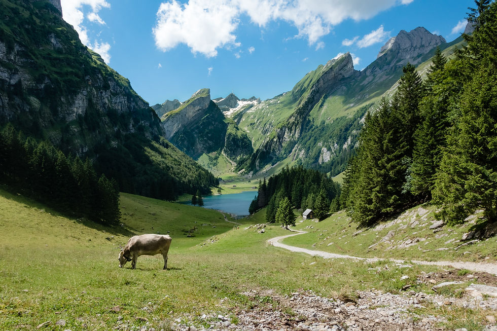 Switzerland, Xplain, Play Ransomware, Ransomware, Cyberangreb