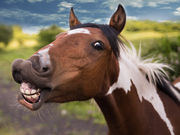 Harnessing the Power of Humor: Enhancing Performance and Well-Being