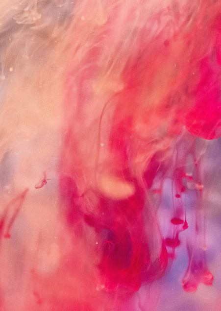 Image by Lucas Benjamin