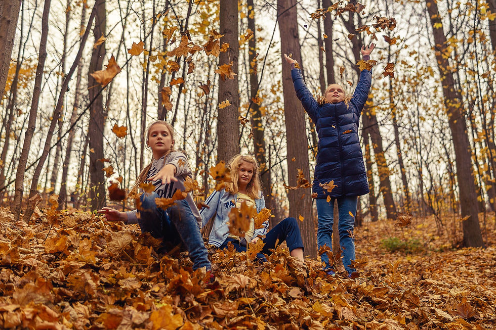 Children playing in fall autumn leaves in the forest