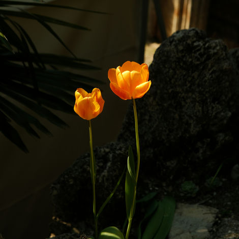 Photography Works