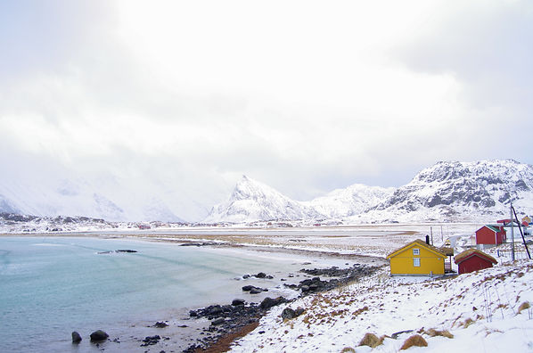 Image by Marianne Gay