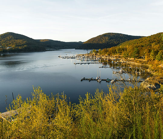 Image by Wolfgang Weiser