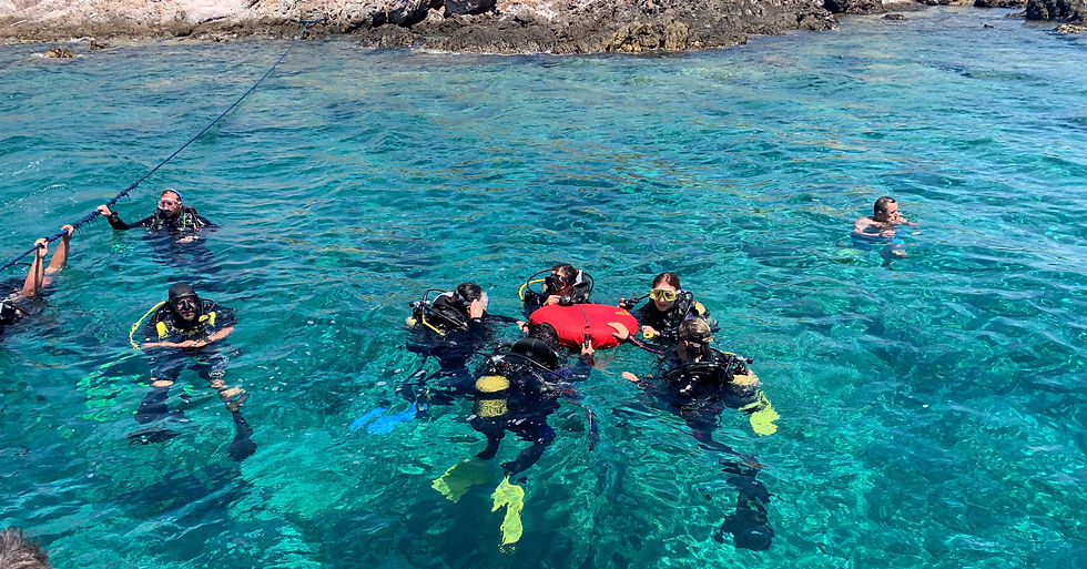 Diving Trips, Days out in Dorset, Dorset Days Out, Things to do in Dorset, Jurassic Coast Adventures, Tourist Information Dorset, Itinerary Planners.