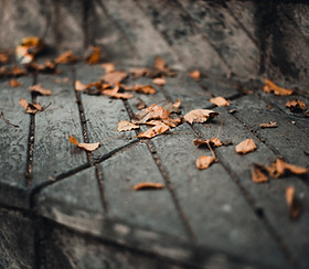 Image by GR Stocks