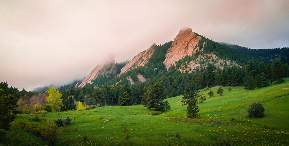 Image by Intricate Explorer