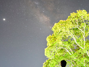 “Sunday Focus: Stand as a Witness”