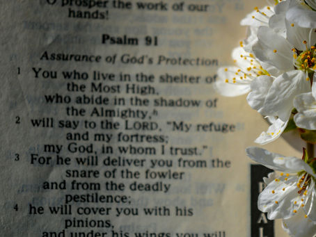 Trust in the Lord with all your heart...