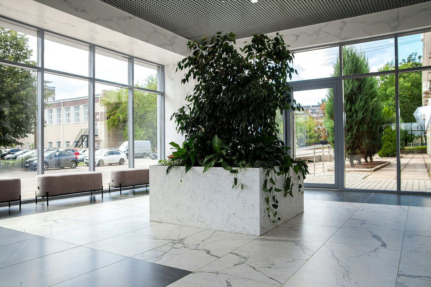 Office Indoor Plants