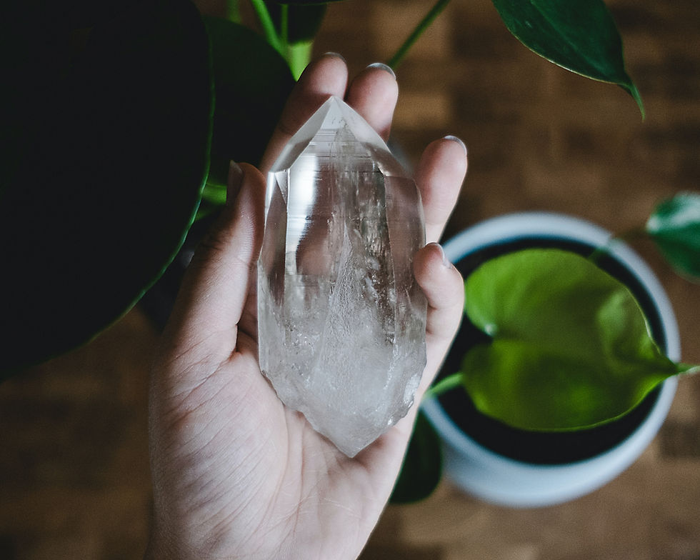 Natural incense, tumbled crystals, and botanical herbs in the Hollow Apothecary for sacred rituals and reiki sessions.