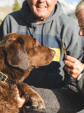 Восстановление после лудомании