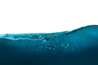 Image by Daniel Sinoca