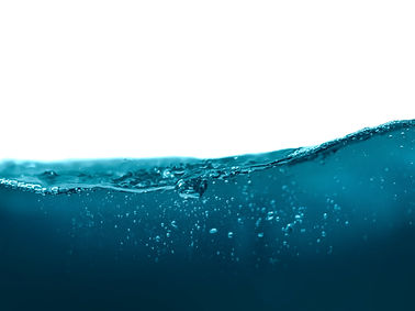 Image by Daniel Sinoca