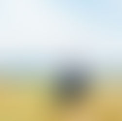 The Current State of Amateur Golf