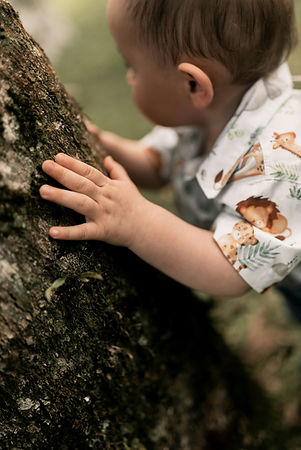 Small child’s hands resting on the textured bark of a tree