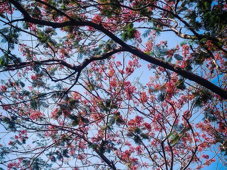 Submit a Guest Post in Dombivli