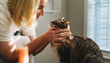 Image by Parker Coffman