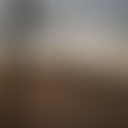 UBS Outlook | Traditional sectors poised to outperform hot trends