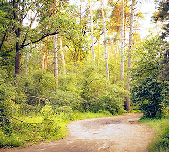 Image by Mark Naberezhnykh