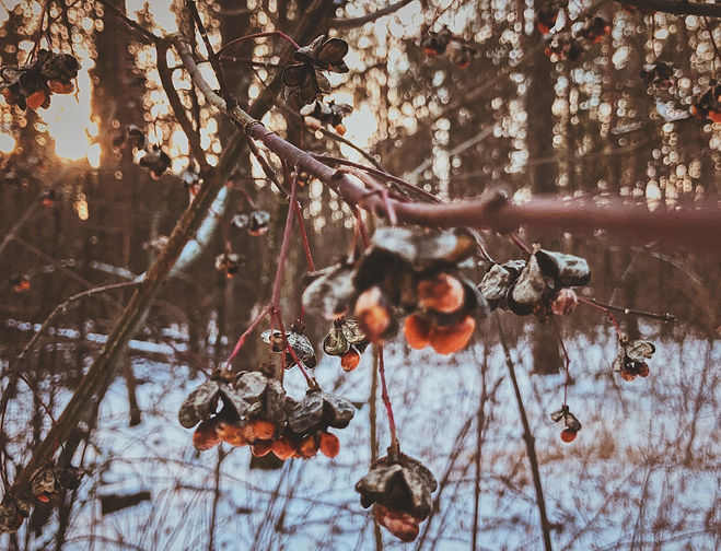 Image by Igor Karimov