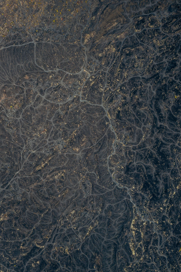 Green Marble for luxury interior design materials