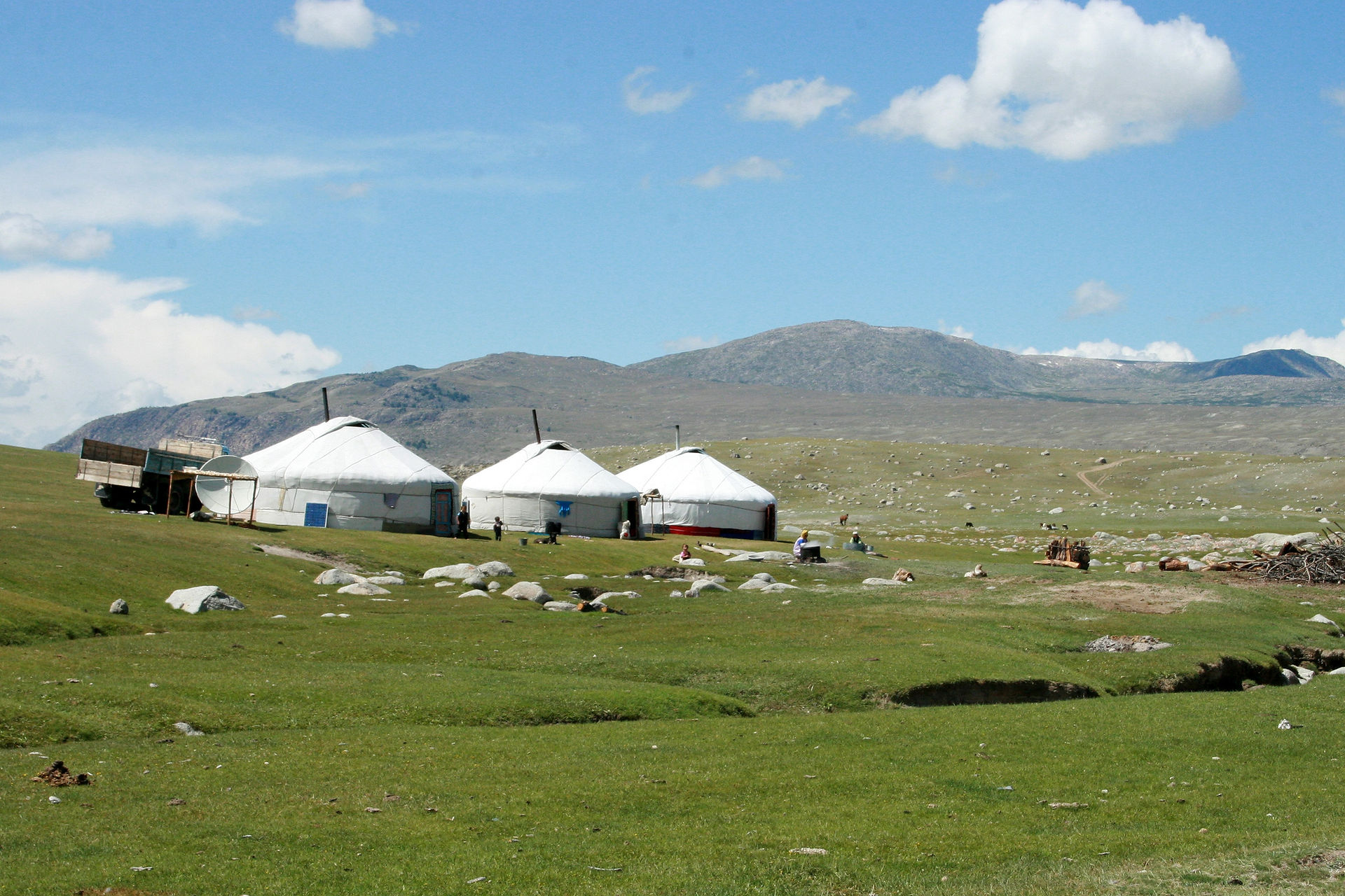 Nomadic families