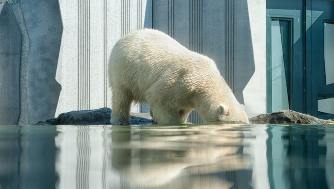 Notes on Climate Change: My Thoughts on the Global Climate Crisis