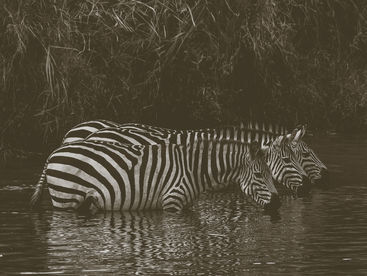 Cartera Trinity de Meb Faber: una crítica constructiva.