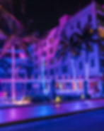 Exclusive VIP nightlife