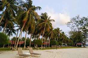 Palm trees and loungers on a sandy beach in Langkawi