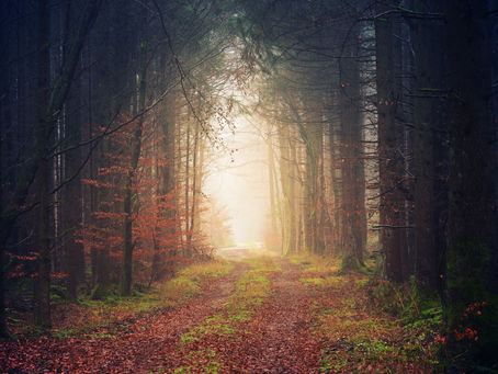 ルカによる福音書24章32節