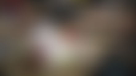 School meal networks, local procurement and traceability, what is changing?