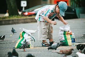 Image by Zui Hoang
