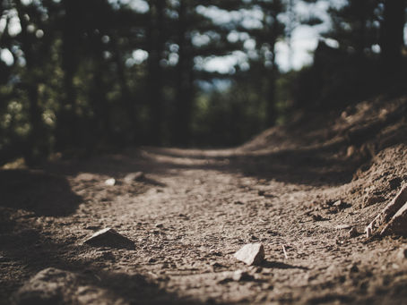 Excavator clearing residential lot in Perth Ontario
