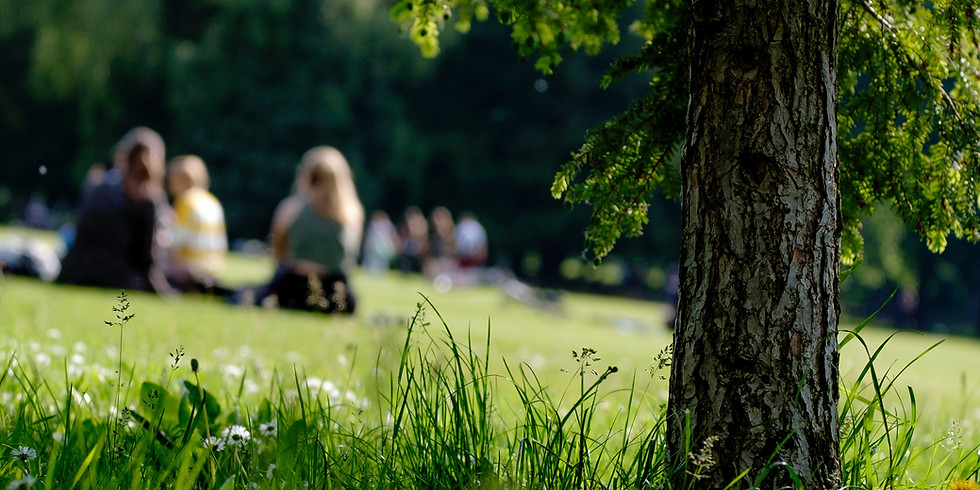 Pic-nic du Domaine Gavoty