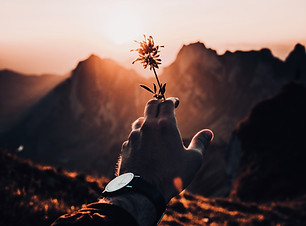 Image de Ayko Neil Kehl