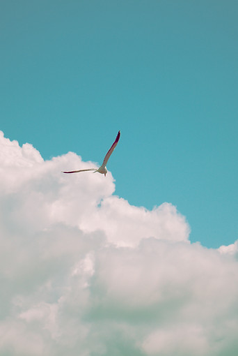 Image by Dallas Reedy