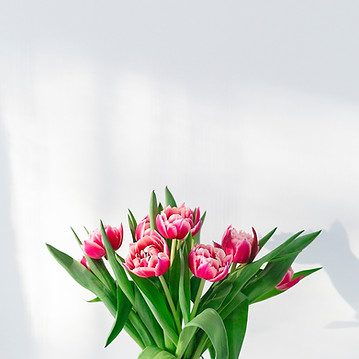 Tulpenstrauß - Image by Uljana Borodina