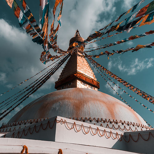 Image by Prasesh Shiwakoti (Lomash)