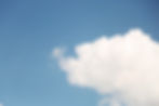 ree