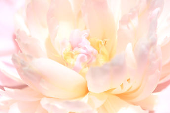 Image by Robert Hoffmann