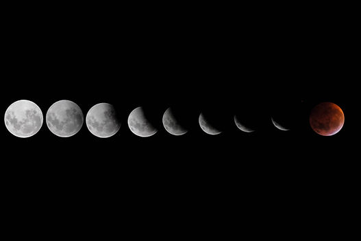 Image by Ramiro Martinez