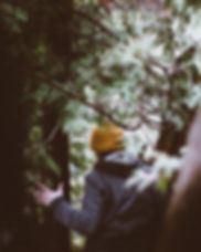 Image by Kyle Peyton